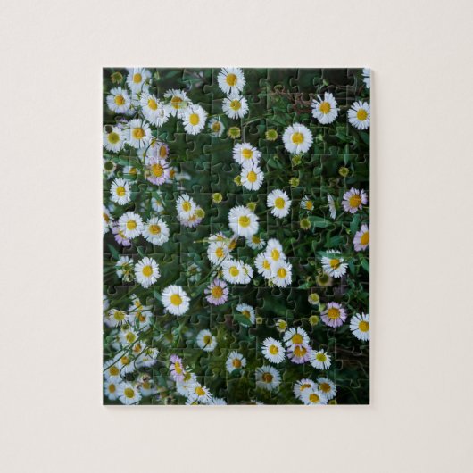 Erigeron Daisies Puzzle Legpuzzel (Verticaal)