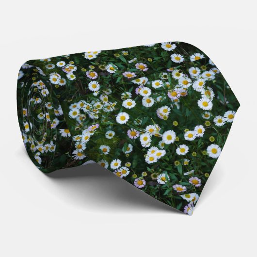 Erigeron Daisies Stropdas (Opgerold)