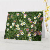 Erigeron Kaart (Gele Bloem)
