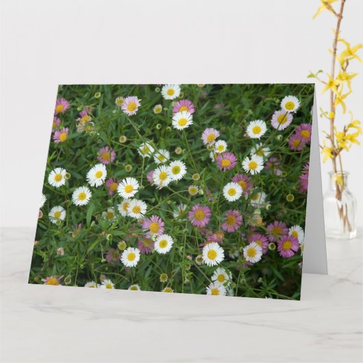 Erigeron Kaart (Gele Bloem)