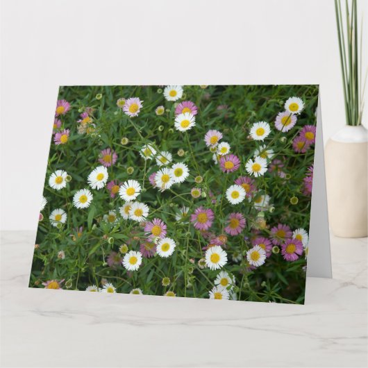 Erigeron Kaart (Voorkant)