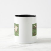 Erin Go Bragh, Ivory Pipe Mok (Midden)