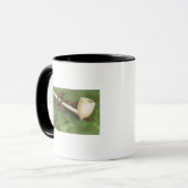 Erin Go Bragh, Ivory Pipe Mok (Voorkant links)