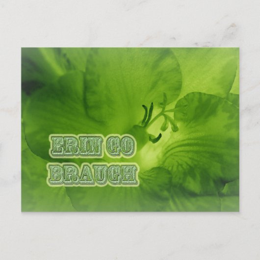Erin Go Braugh Green Freesia-objecten Briefkaart (Voorkant)