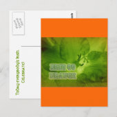 Erin Go Braugh Green Freesia-objecten Briefkaart (Voorkant / Achterkant)