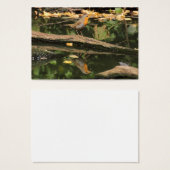 Erithacus rubecula visitekaartjes (Voorkant /achterkant)