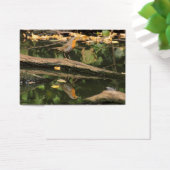 Erithacus rubecula visitekaartjes (Bureau)