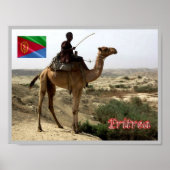 Eritrea - Camel - Poster (Voorkant)
