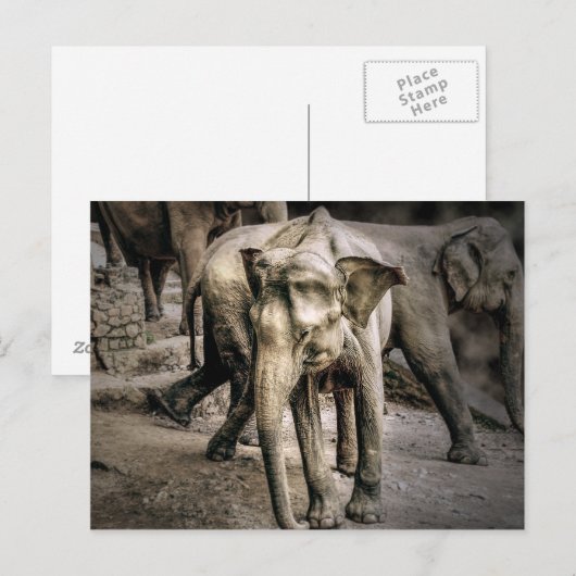 Erkenning Briefkaart (Voorkant / Achterkant)