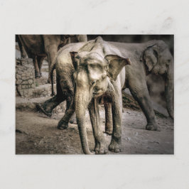 Erkenning Briefkaart