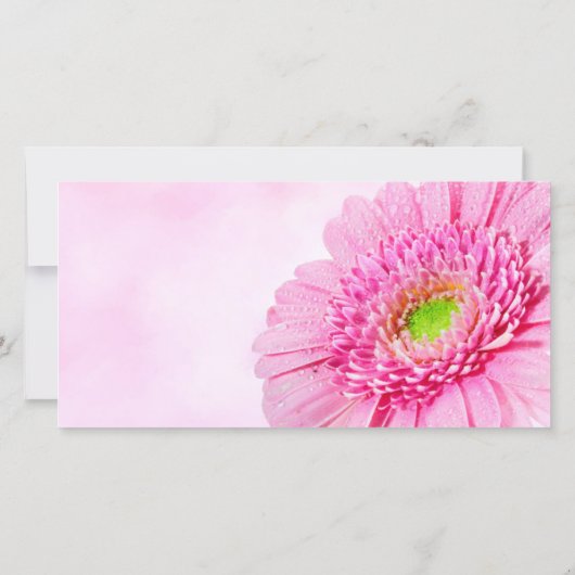 Erkenntelijkheid Betuiging Rouw Roze Bedankkaart (Achterkant)