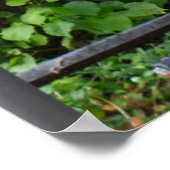 Erlangen ramen en fietsen in Duitsland Poster (Hoek)