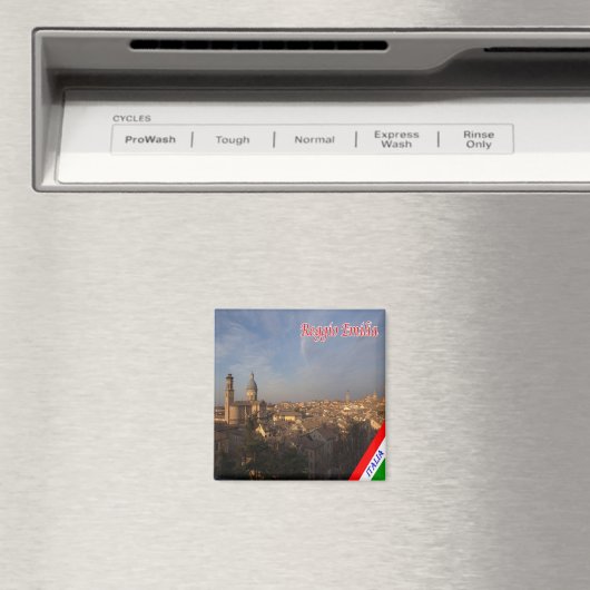 ERM017 REGGIO EMILIA, Italië, Koelkast Magneet (Insitu (Vaatwasser))