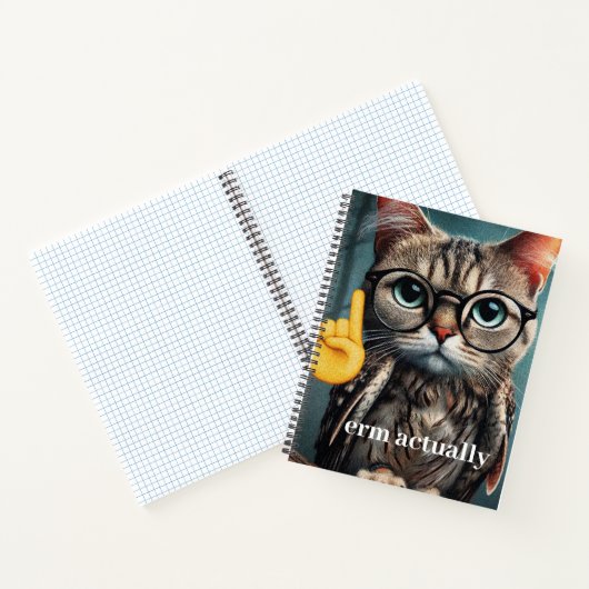 Erm eigenlijk... Nerd Cat Meme Notitieboek (Binnen)