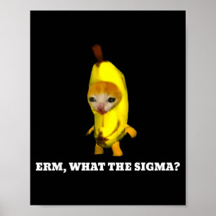 Erm, Wat Sigma_ Kat Meme Mannen Vrouwen Meisjes Ki Poster