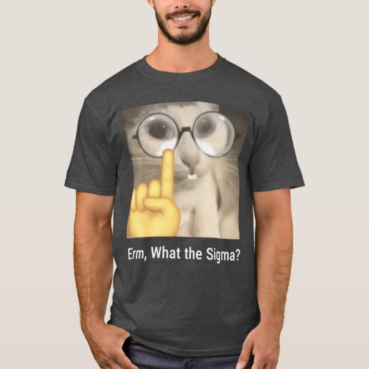 Erm Whathe Sigma Kat Meme Grappig grappig T-shirt (Voorkant)