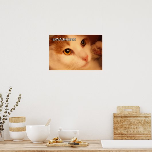 Ermahgerd Cute Oranje Cat Poster (Keuken)
