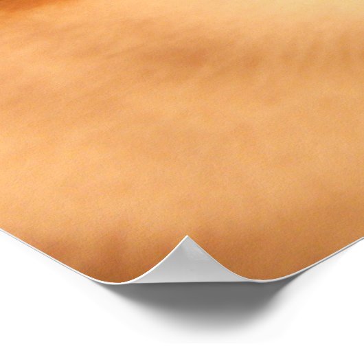 Ermahgerd Cute Oranje Cat Poster (Hoek)