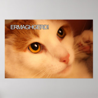 Ermahgerd Cute Oranje Cat Poster