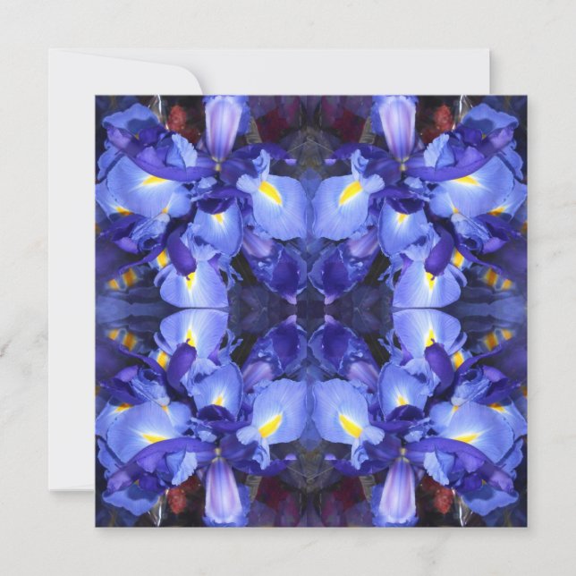 Ermengarde (Voorkant)