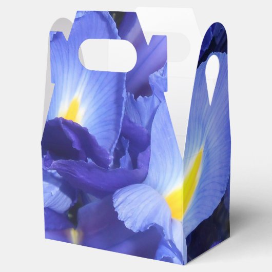 Ermengarde Bedankdoosjes (Geopend)