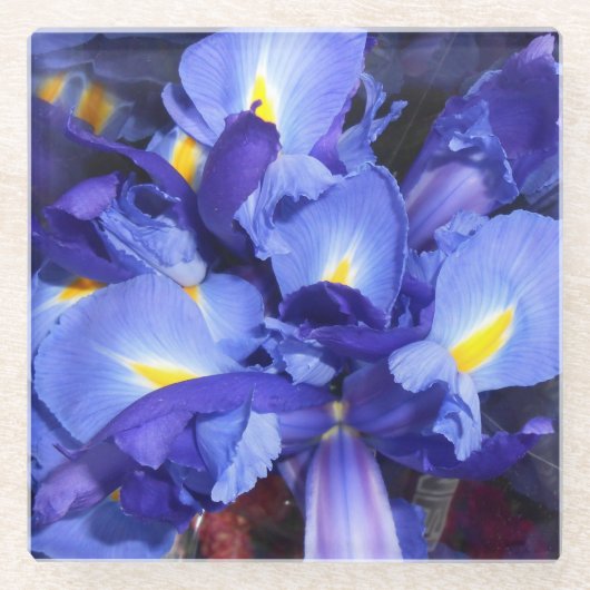 Ermengarde Glazen Onderzetter (Voorkant)