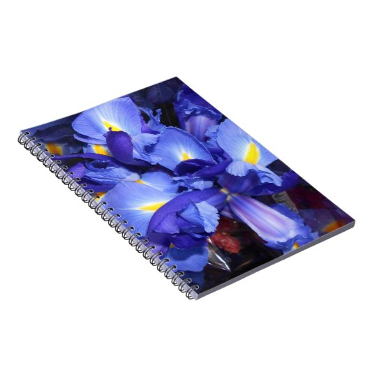 Ermengarde Notitieboek (Rechterzijde)