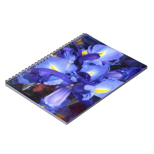 Ermengarde Notitieboek (Linkerzijde)