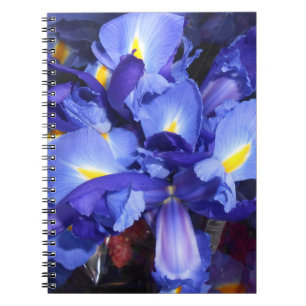 Ermengarde Notitieboek