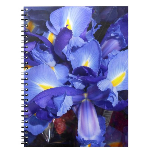 Ermengarde Notitieboek (Voorkant)