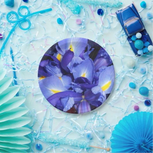 Ermengarde Papieren Bordje (Feest)