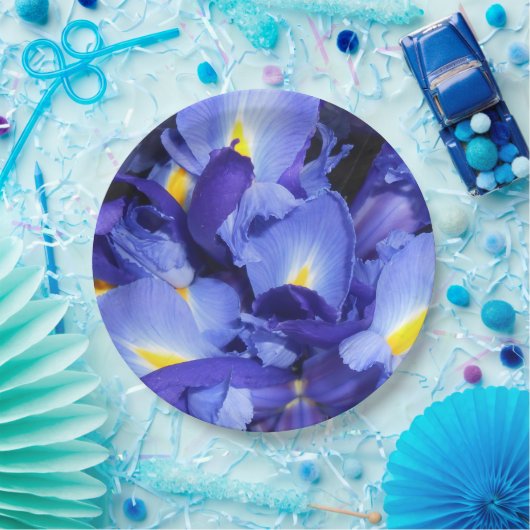 Ermengarde Papieren Bordje (Feest)