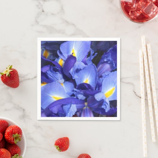 Ermengarde Servetten (Insitu)