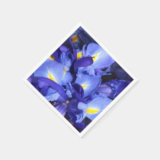 Ermengarde Servetten (Hoek)