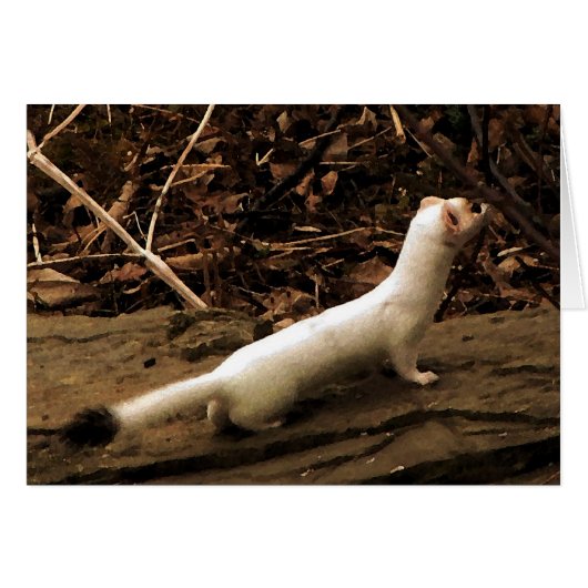 Ermine Blank Kaart (Voorkant Horizontaal)
