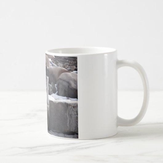 Ermine op Snowy Rocks Koffiemok (Rechts)