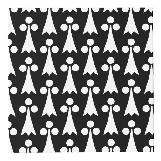 Ermine Pattern, Middeleeuws Patroon, Wit op Zwart Kubus (Rechts)