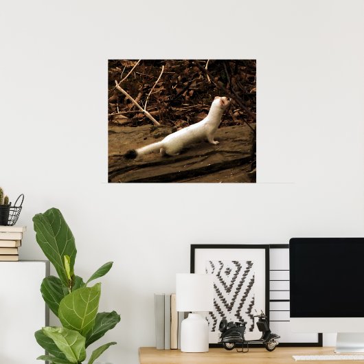 Ermine Poster (Thuiskantoor)