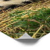 Ernest & Sassy Print! Poster (Hoek)