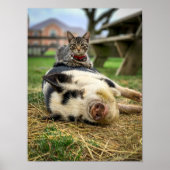 Ernest & Sassy Print! Poster (Voorkant)