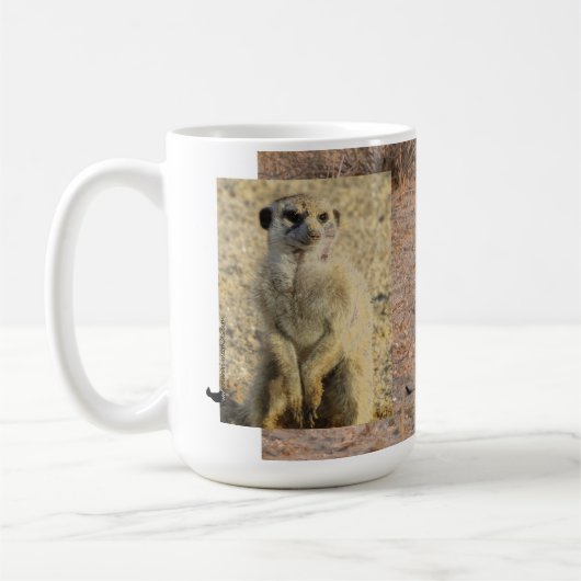 Ernesto Meerkat Mok (Links)