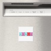 Ernesto periodieke lijstnaam magnet (Insitu (Vaatwasser))