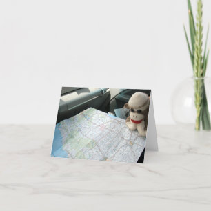 Ernie de Sock Monkey Map Leesnotitie Kaart