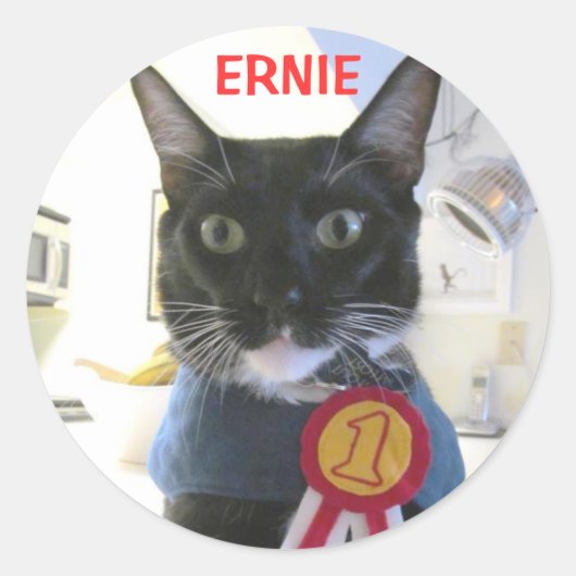 ERNIE STICKER (Voorkant)