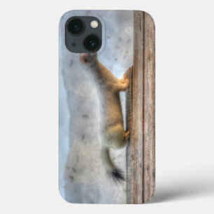Ernie the Determined Ermine (Weasel) Wildlife Case-Mate iPhone Case
