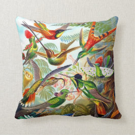 Ernst Haeckel 1904 Hummingbird Print on Pillow Kussen