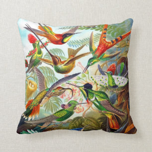 Ernst Haeckel 1904 Hummingbird Print on Pillow Kussen