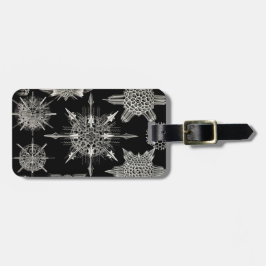 Ernst Haeckel | Acanthophracta Bagagelabel