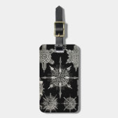 Ernst Haeckel | Acanthophracta Bagagelabel (Voorkant verticaal)