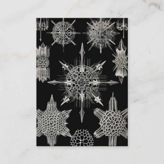 Ernst Haeckel | Acanthophracta Visitekaartje (Voorkant)